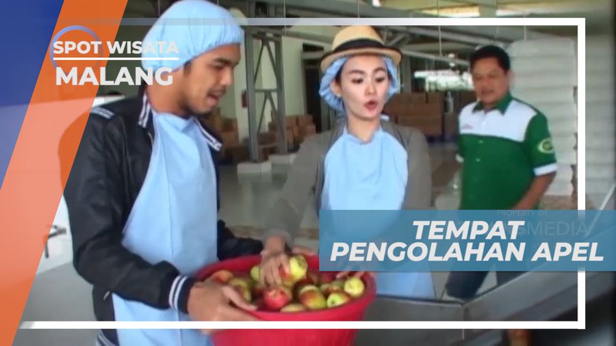 Mengunjungi Tempat Pengolahan Buah Apel Menjadi Minuman Khas, Malang
