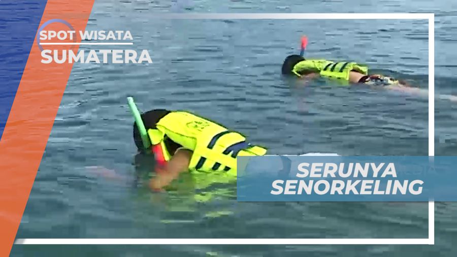 Snorkeling Menikmati Keindahan Bawah Laut Sumatera Barat
