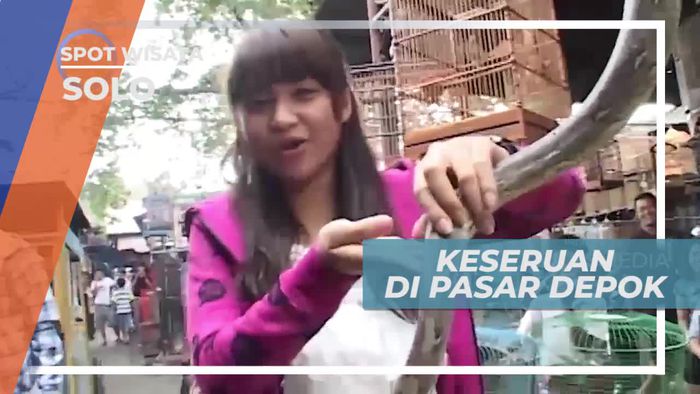 Berkunjung ke Pasar Hewan Depok, Solo