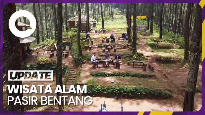 Sensasi Ngopi Asyik di Tengah Hutan Pinus Ciamis