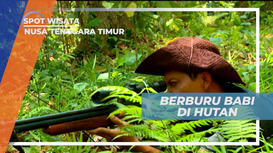Pengalaman Seru Berburu Babi Liar di Hutan Benang Stokel, Nusa Tenggara Timur