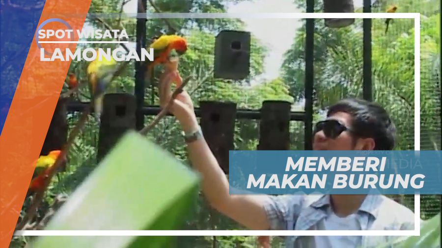 Pengalaman Seru Memberi Makan Burung di Dalam Sangkar Raksasa, Lamongan