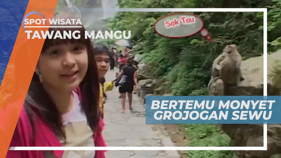 Sensasi Melewati Sekumpulan Monyet Liar, Menuju Air Terjun Grojokan Sewu, Tawangmangu
