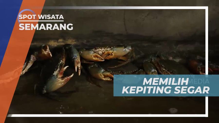 Memilih Kepiting Segar di Resto Seafood Kota Semarang