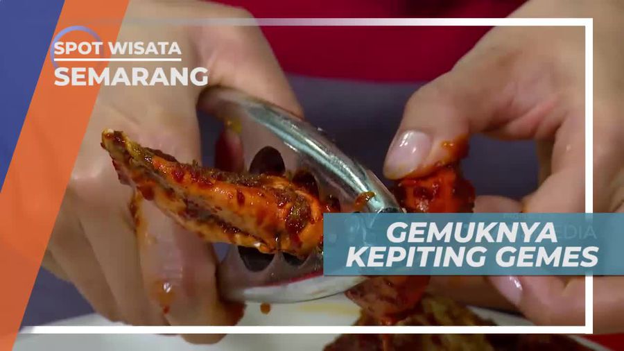 Melihat Kepiting Gemuk dan Tebal di Kota Semarang
