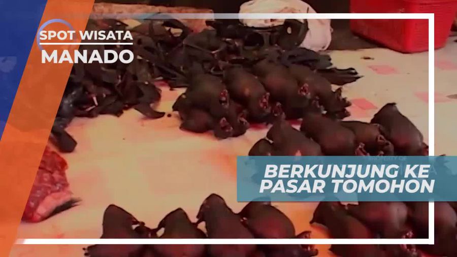 Berkunjung ke Pasar Tomohon Manado