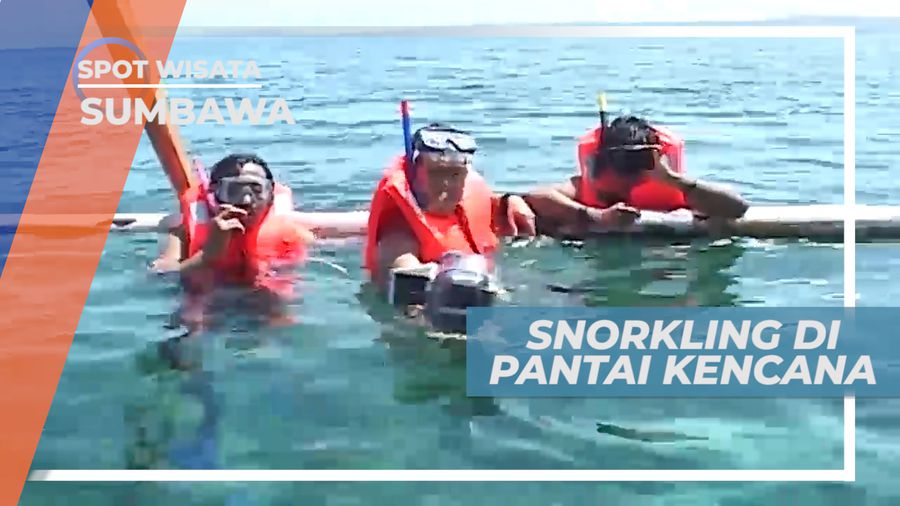 Mengintip Indahnya Surga Bawah Laut Pantai Kencana, Sumbawa