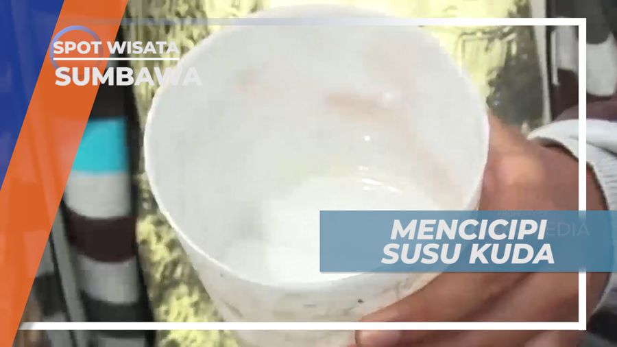 Sensasi Mencicipi Cita Rasa Susu Kuda Liar Khas Pulau Sumbawa