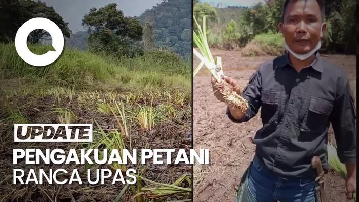 Ini Mang Uprit, Petani yang Marah Usai Edelweis Ranca Upas Digilas Trail