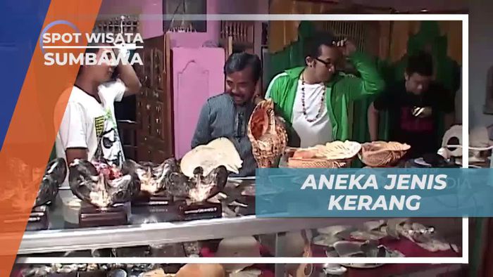 Melihat Aneka Jenis Kerang di Rumah Pengrajin, Sumbawa