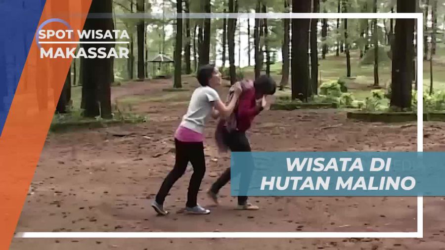 Berkunjung ke Hutan Malino, Melihat Banyak Pohon Pinus, Makassar