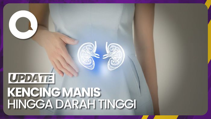 Apa Penyebab Penyakit Ginjal Kronis?