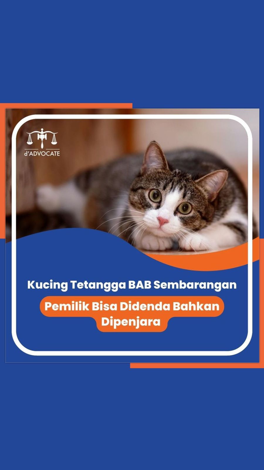 Problem Kucing Tetangga BAB Sembarangan