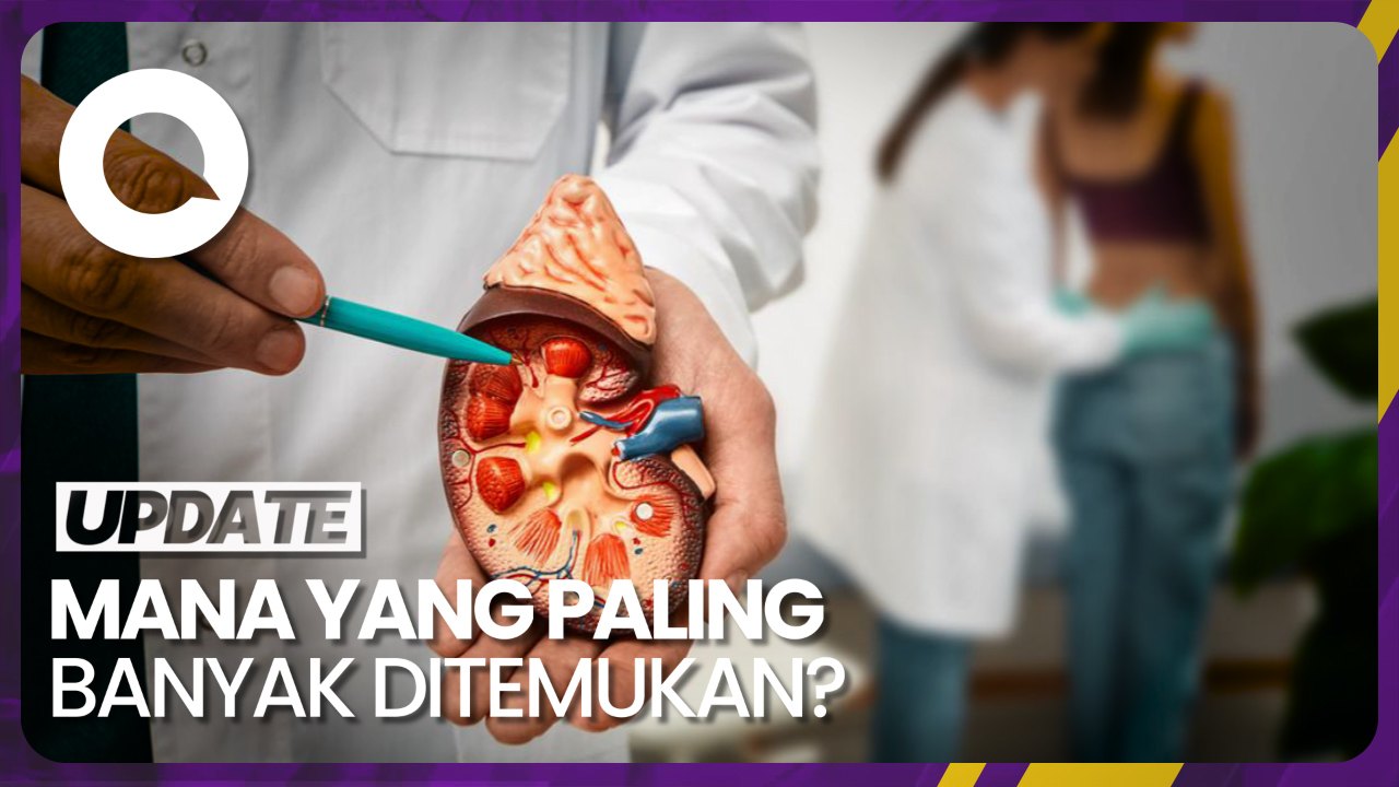 Mengenal Gangguan Ginjal Akut Dan Penyakit Ginjal Kronis