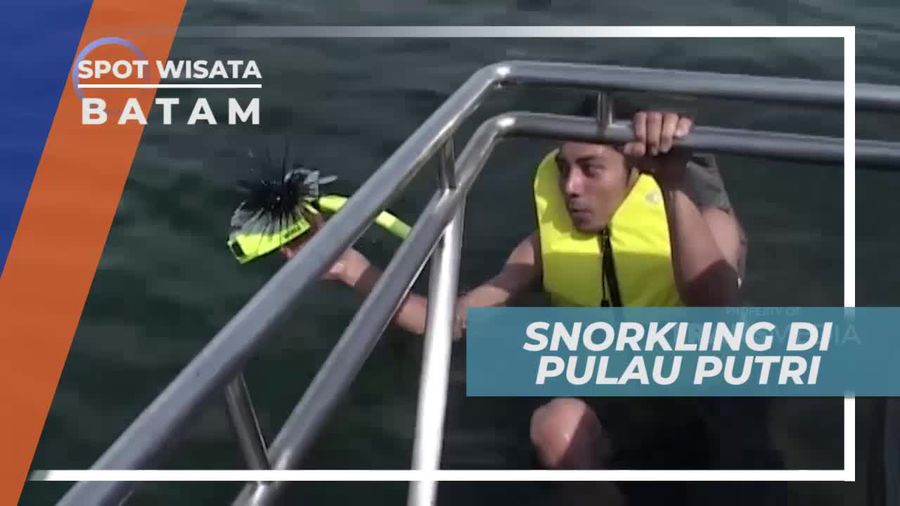 Snorkeling Menikmati Keindahan Bawah Laut Pulau Putri Batam