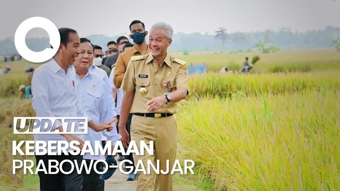 Jokowi Tinjau Panen Padi Bareng Prabowo-Ganjar, Sinyal Perjodohan?
