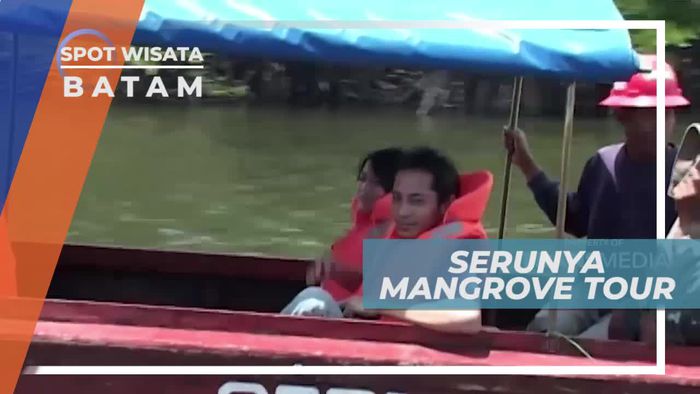 Melihat Keindahan Hutan Mangrove di Batam