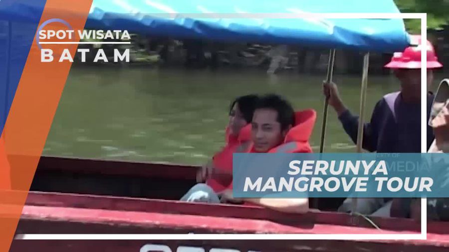 Melihat Keindahan Hutan Mangrove di Batam