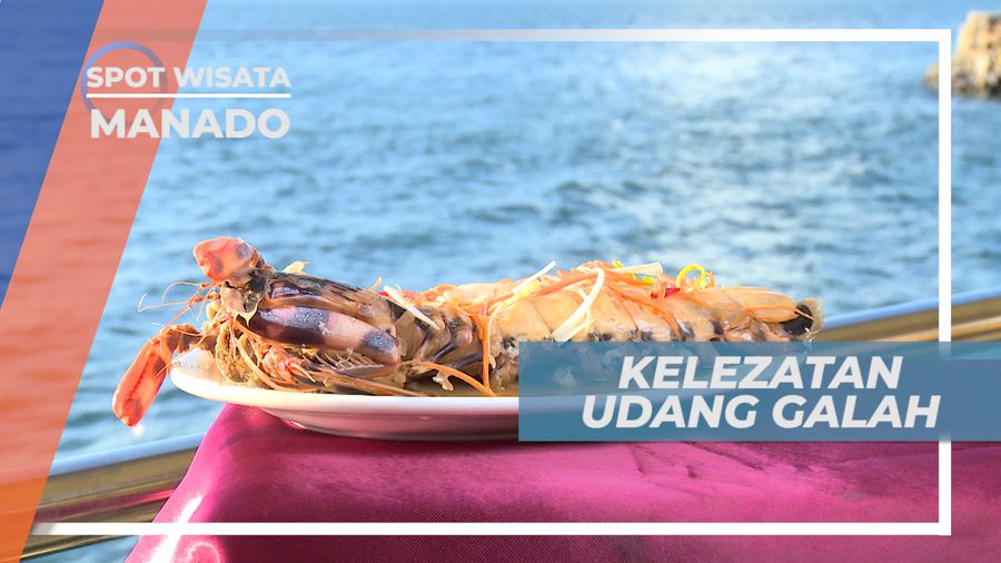 Lembut, Lezat dan Nikmat Daging Udang Galah Dengan Bumbu Kaldu yang Meresap, Manado