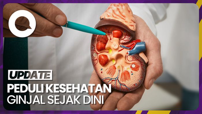 Awas! Usia Muda Juga Bisa Kena Penyakit Ginjal Kronis