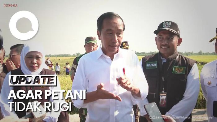 Harga Gabah Bakal Ditentukan, Jokowi: Jangan Sampai Jatuh! 