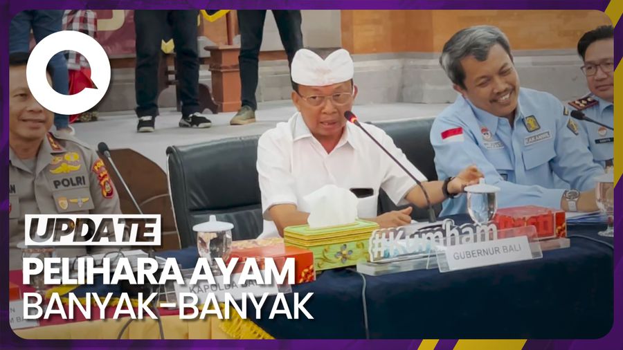 Viral Bule Protes Kokok Ayam, Koster: Nggak Usah ke Bali!