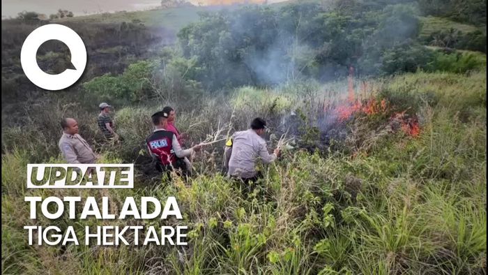 Lahan di Bukit Teletubbies Nusa Penida Terbakar, Ini Penampakannya