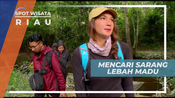 Menyusuri Hutan Mencari Sarang Lebah Madu, Riau