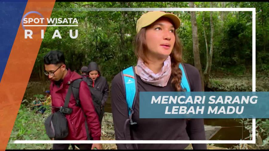 Menyusuri Hutan Mencari Sarang Lebah Madu, Riau