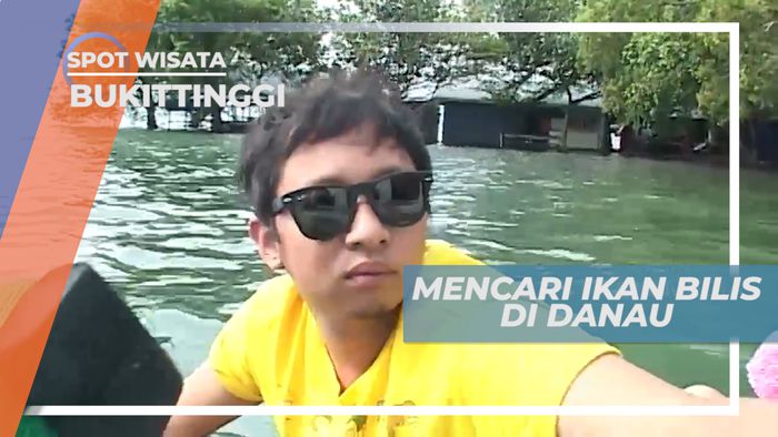 Serunya Mencari Ikan Bilis di Tengah Danau Singkarak, Bukittinggi
