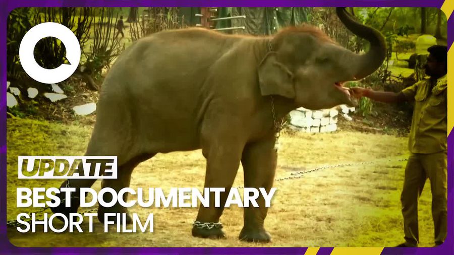 The Elephant Whisperers Raih Oscar, Kamp Gajah di India Diserbu Turis