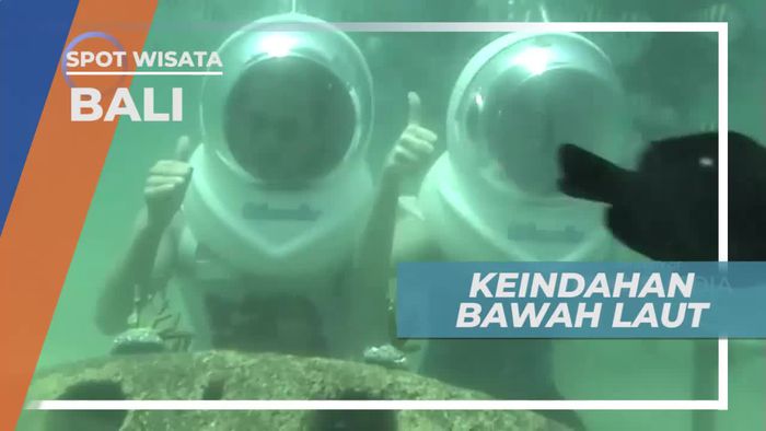 Menikmati Panorama Keindahan Bawah Laut Bali