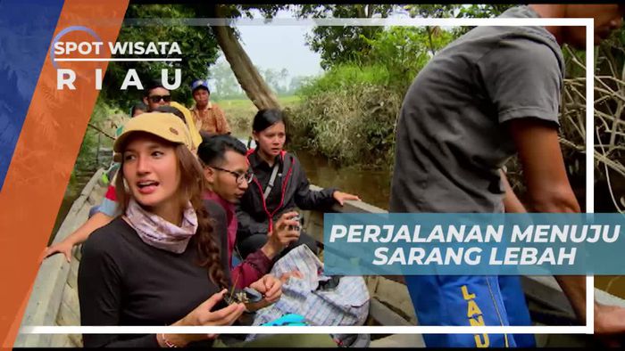 Perjalanan Menuju Pohon Sialang, Sarang Lebah di Tengah Hutan Riau