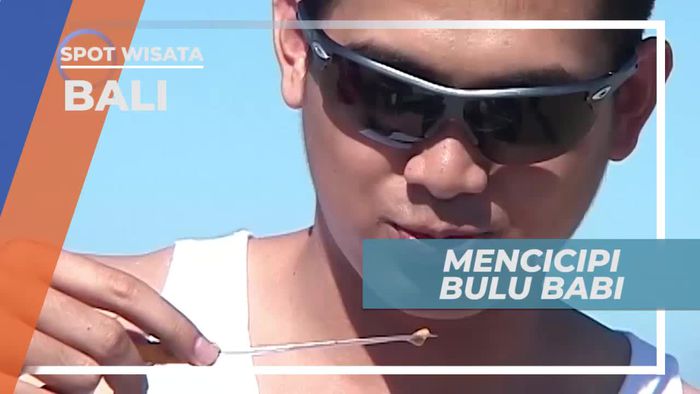 Bulu Babi, Hewan Laut yang Bisa Diolah Menjadi Makanan Lezat, Bali