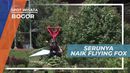 Uji Adrenalin Bermain Flying Fox di Kota Bogor
