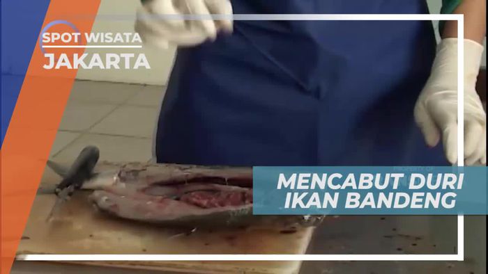Cabut Duri, Melihat Pengolahan Ikan Bandeng di Kepulauan Seribu