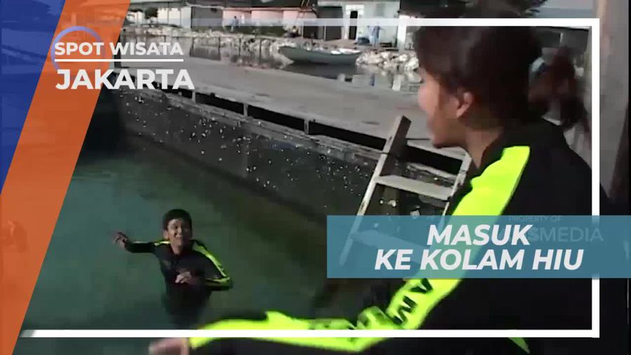 Uji Adrenalin Masuk ke Kolam Hiu, Kepulauan Seribu