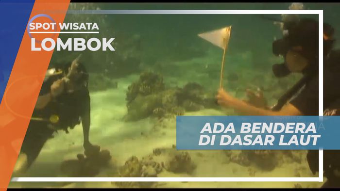 Berburu Bendera di Dasar Laut Gili Trawangan yang Memukau, Lombok