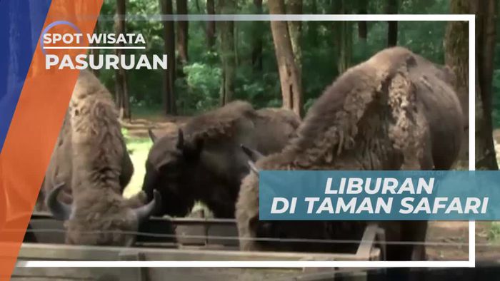 Berkunjung ke Taman Safari Prigen Pasuruan