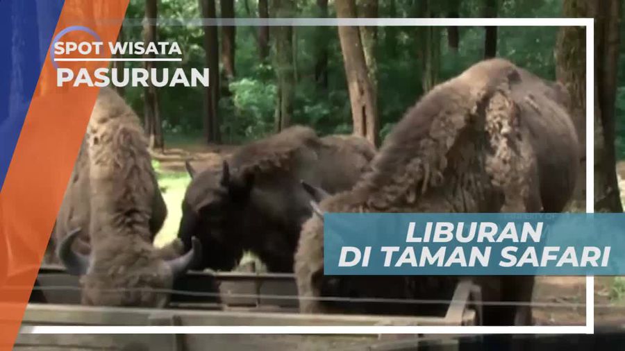 Berkunjung ke Taman Safari Prigen Pasuruan