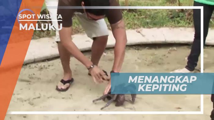 Tantangan Menangkap Kepiting Kenari di Maluku