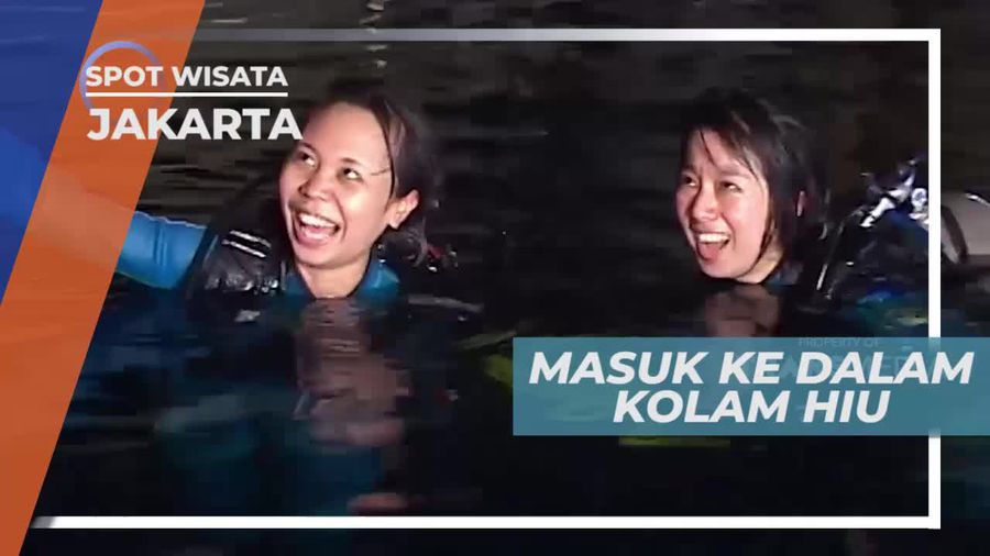 Masuk ke Kolam Ikan Hiu, Kawasan Wisata Jakarta