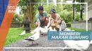 Memberi Makan Burung Merpati di Kawasan Wisata Bali