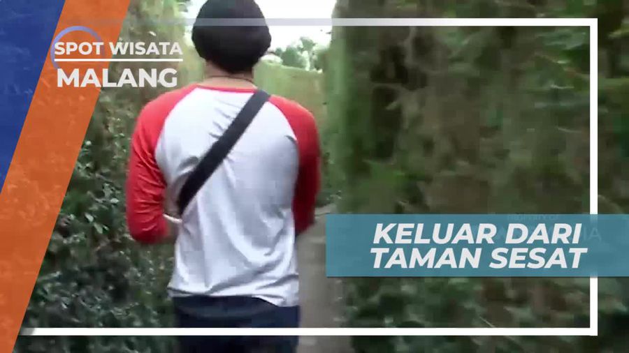 Tantangan Seru Bermain Labirin di Kota Malang