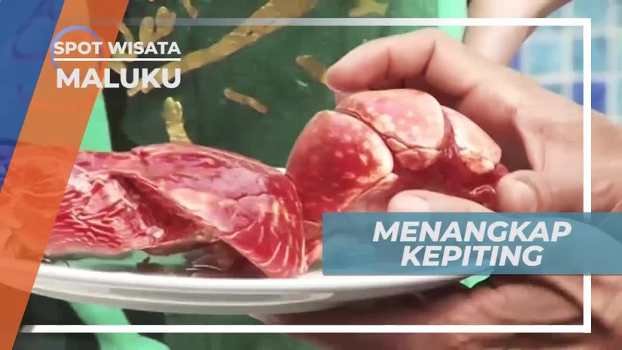 Memasak Kepiting Kenari, Maluku