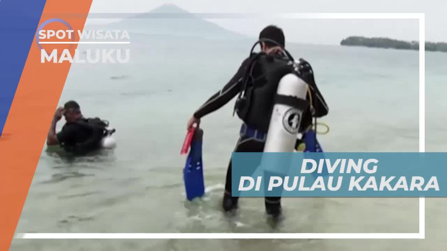 Diving Menikmati Keindahan Panorama Bawah Laut Pulau Kakara Maluku