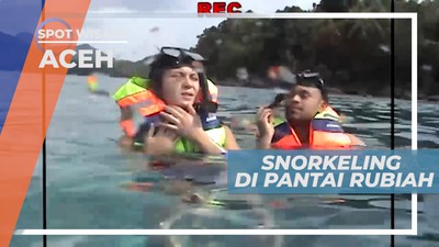 Mengintip Indahnya Surga Bawah Laut Pulau Rubiah, Aceh