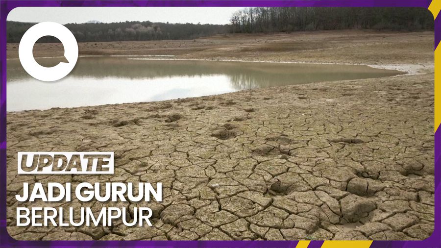 Kondisi Danau Montbel di Prancis yang Kini Memprihatinkan
