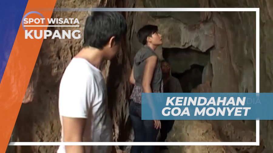 Mengunjungi Pesona Keindahan Gua, Rumah Bagi Para Monyet Liar, Kupang