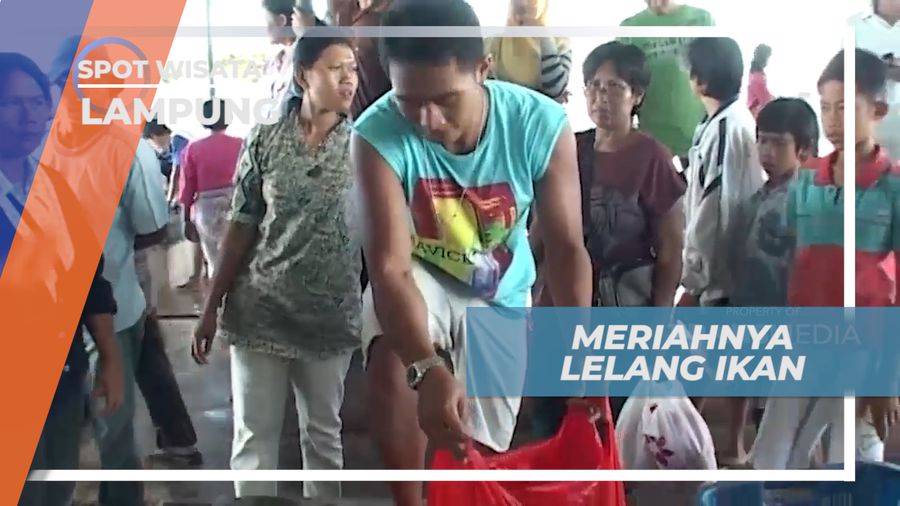 Serunya Tawar Menawar Pasang Harga di Pasar Pelelangan Ikan, Lampung